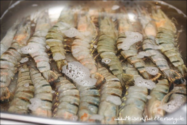 Bubu Gump Shrimps (002 von 010)