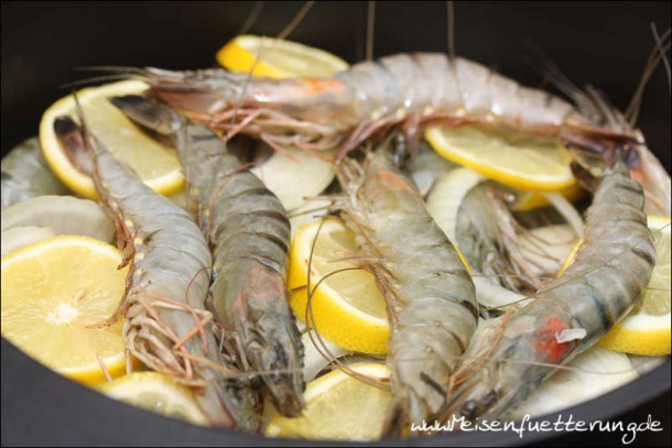 Bubu Gump Shrimps (005 von 010)