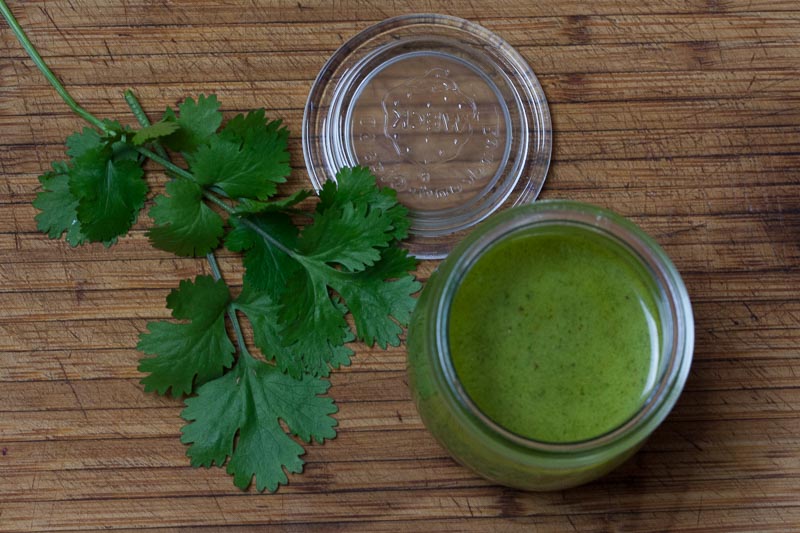 Koriander-Haselnuss-Pesto - Meisenfütterung