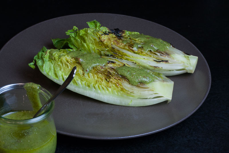 Koriander-Haselnuss-Pesto - Meisenfütterung