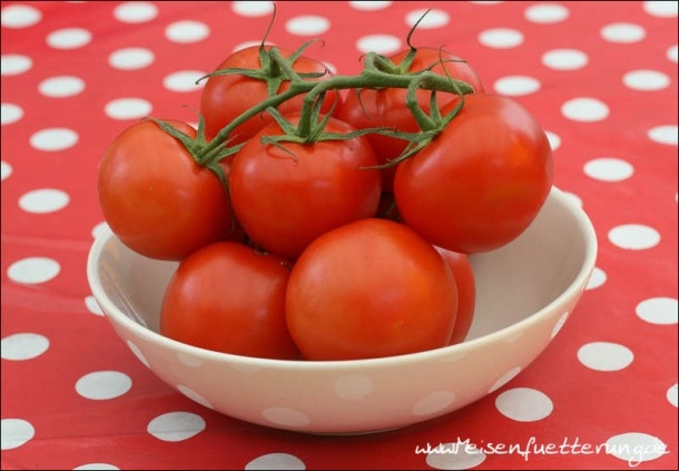 Tomaten (1 von 10)
