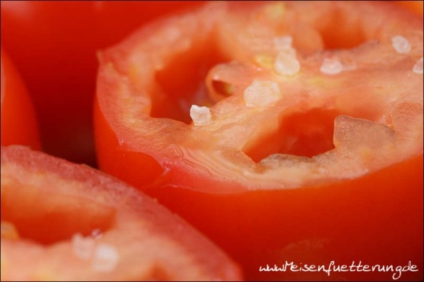 Tomaten (6 von 10)