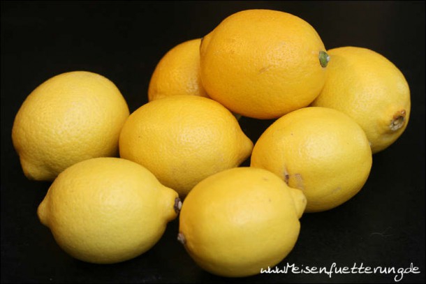 eingelegte Zitronen (002 von 002)