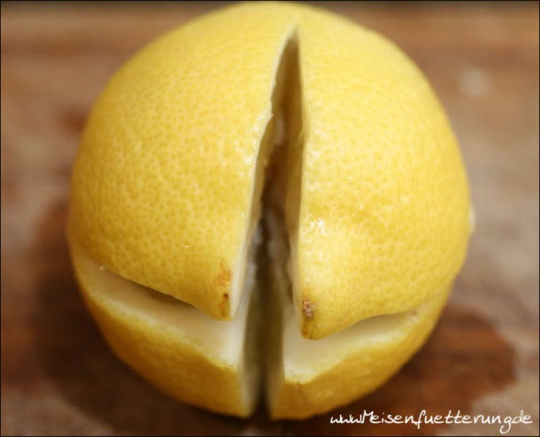 eingelegte Zitronen (003 von 003)