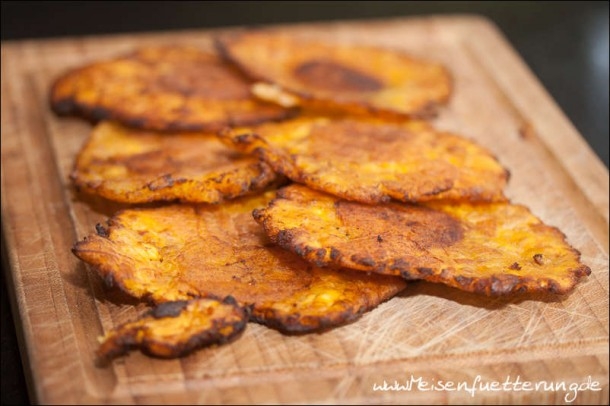 Patacones / Tostones – Meisenfütterung