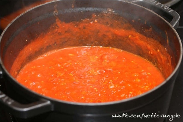 sauce all arrabiata (003 von 009)