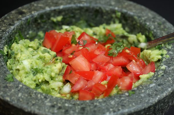 Guacamole Meisenfütterung